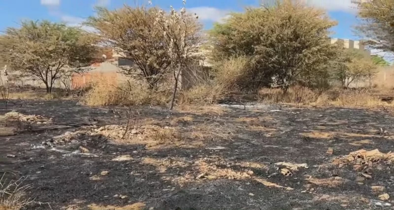 Chamas no bairro vivendas: Incêndio em terreno força moradores a deixar casas