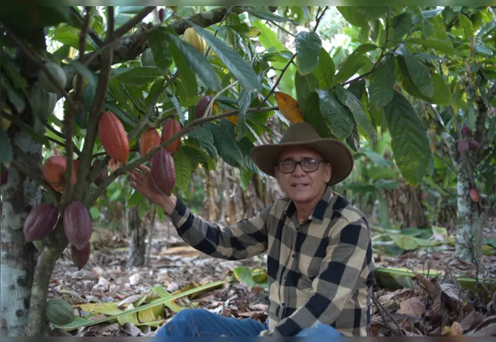 Crescimento do cooperativismo financeiro e o impacto no agronegócio