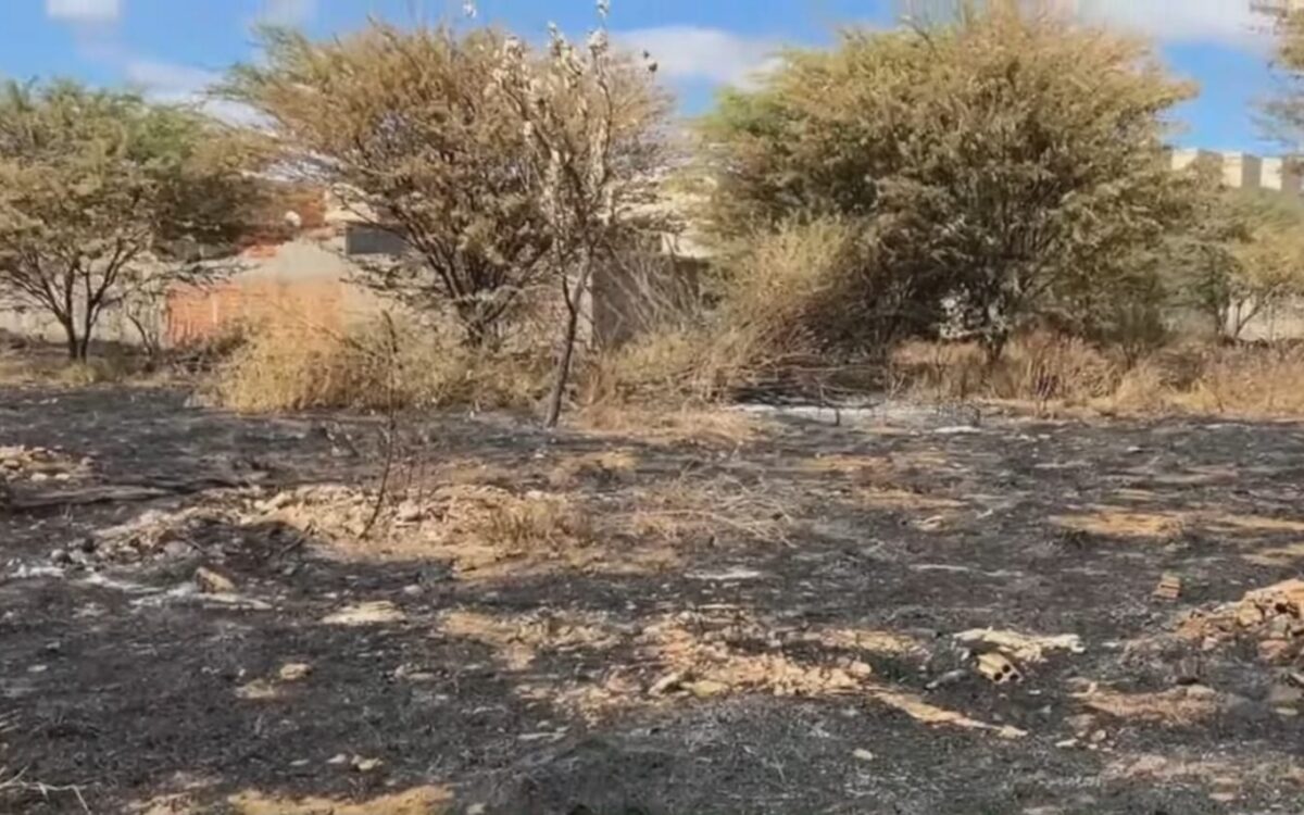 Chamas no bairro vivendas: Incêndio em terreno força moradores a deixar casas