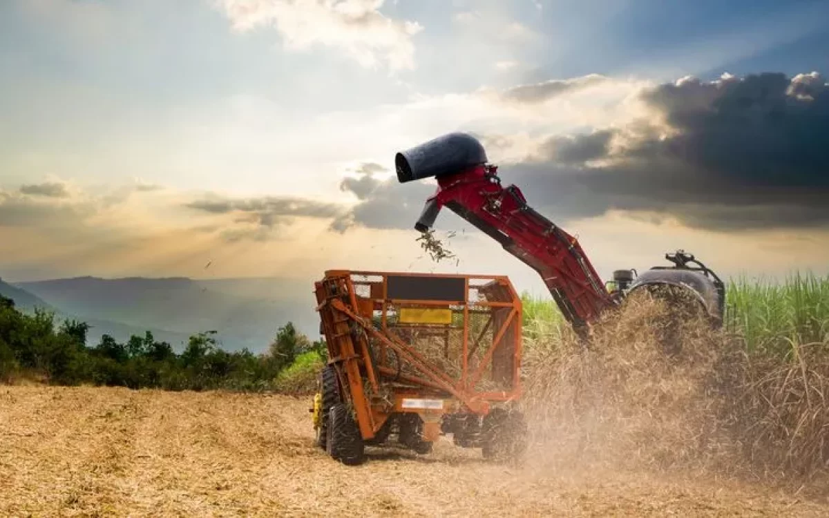 Exportações do agronegócio brasileiro atingem US$ 82,39 bi no semestre