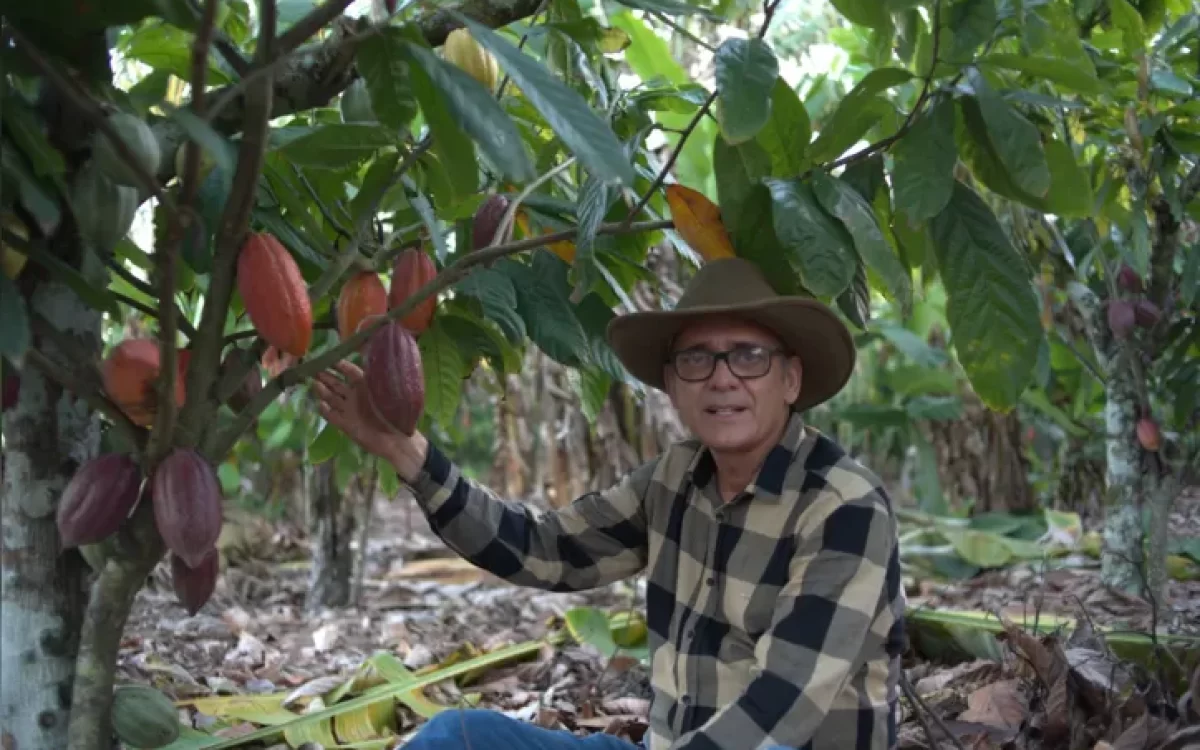 Crescimento do cooperativismo financeiro e o impacto no agronegócio